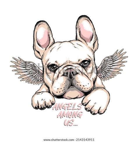 Cute French Bulldog Puppy Angel Wings Stock Vector Royalty Free