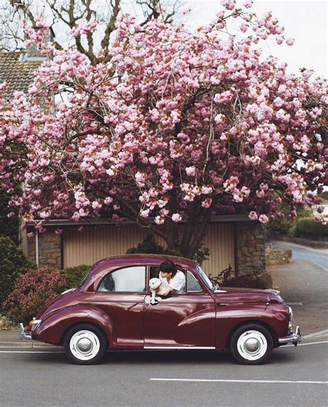 Sky aesthetic aesthetic movies aesthetic songs instagram aesthetic aesthetic videos aesthetic images aesthetic gif aesthetic lockscreens aesthetic vintage. Aesthetic Vintage Wallpapers - Top Free Aesthetic Vintage ...