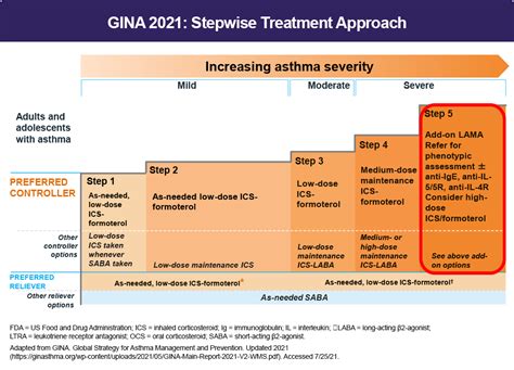 Gina Classification Of Asthma Dan Anderson