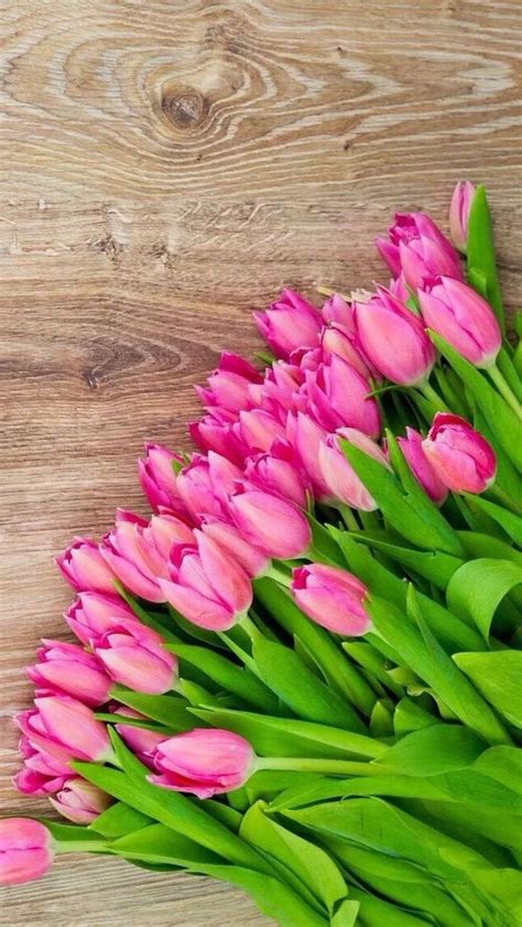 1001 Spring Wallpaper Images For Your Phone And Desktop