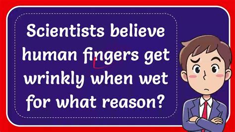 Scientists Believe Human Fingers Get Wrinkly When Wet For What Reason