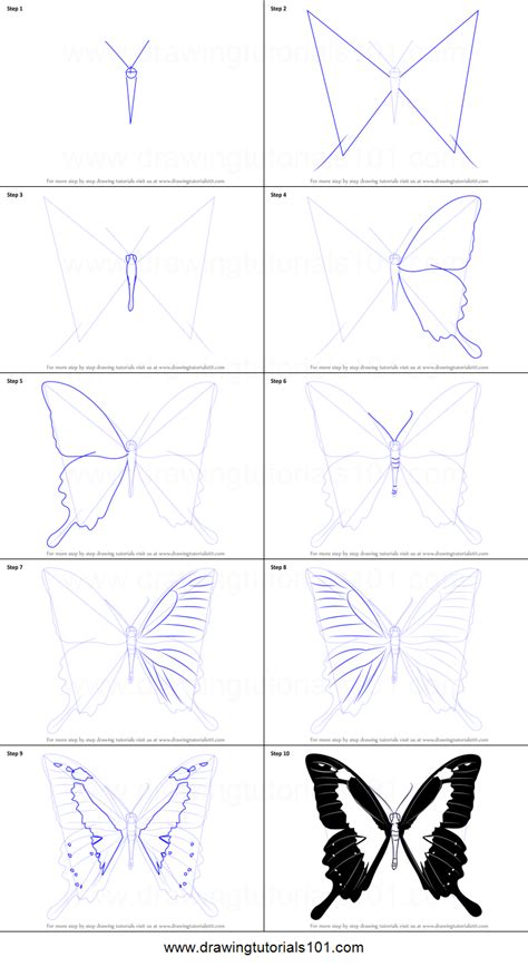 How To Draw A Butterfly Easy Way Peepsburgh