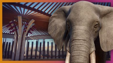 🐘 Elephant House And Habitat Planet Zoo Speed Build Youtube