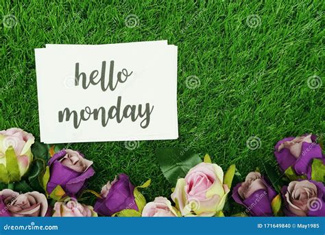Hello Monday Card And Roses Flower With Space Copy Background Stock