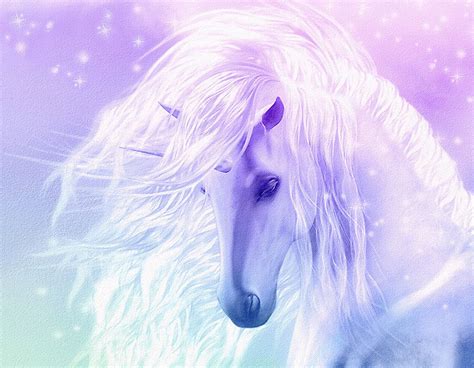 Maybe you would like to learn more about one of these? Beautiful Fantasy Unicorn flowing mane pink CANVAS ART PRINT 8"X 10" horse | Pink canvas art ...