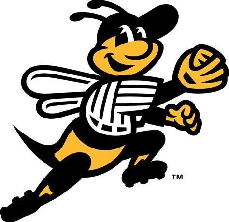 Download Buzzing Sound: The Story Behind the New Britain Bees ...