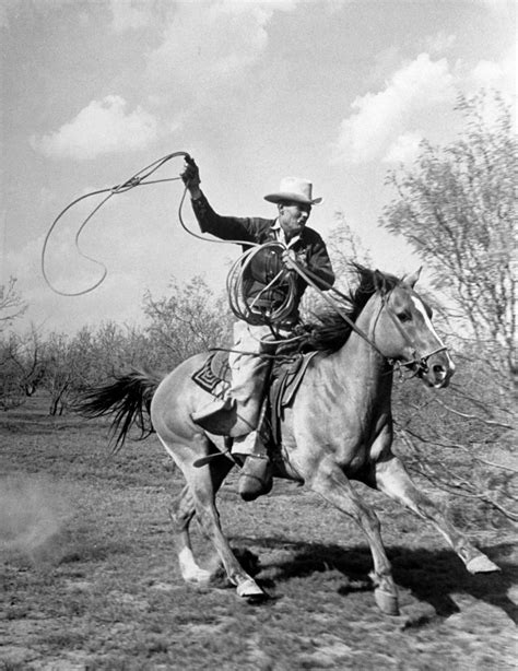 Cowboys See Vintage Life Photos Of American Cowboys