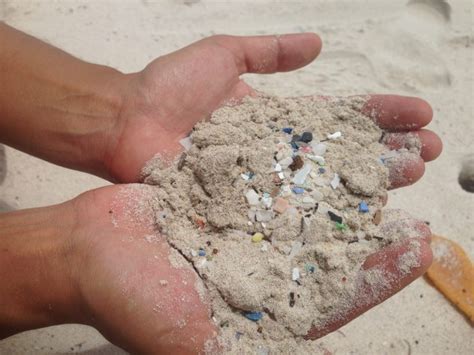 The Perils Of Plastic Part 2 Reducing Plastic Waste Galapagos