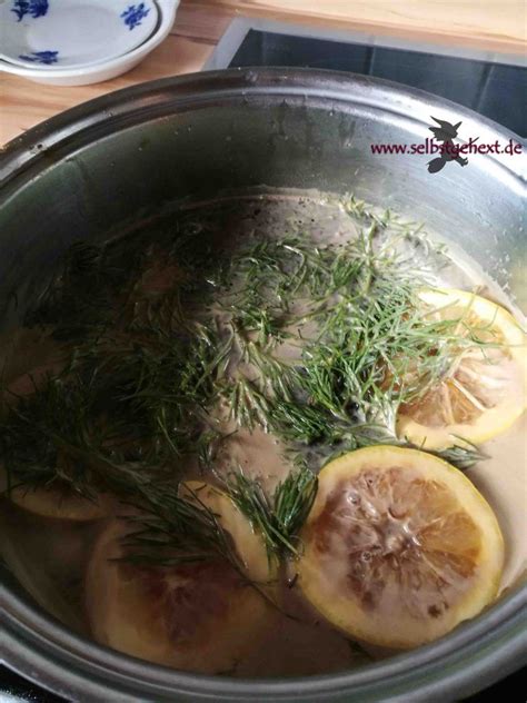 Was sie bei der kultivierung der schönen zierpflanze beachten sollten, erfahren sie hier. Pin auf Kochrezepte