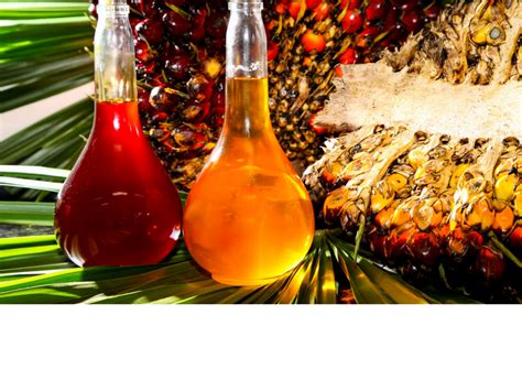 It contains 14g of fat per tablespoon, 33% of which is saturated. Palm Oil | Ciranda