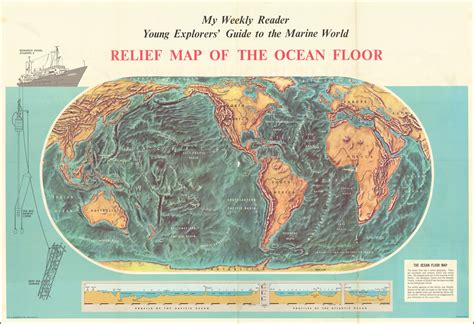 Relief Map Of The Ocean Floor Chart Of The Marine World Barry