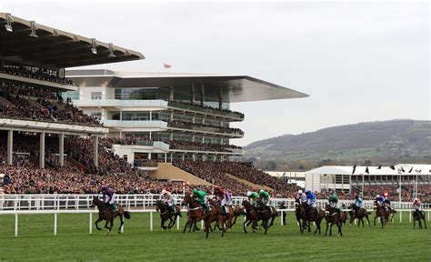 Cheltenham Racecourse Unveils New Vip Food And Drink Offering