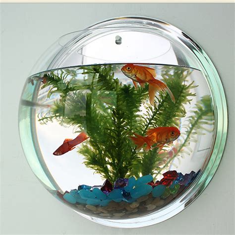 Pot Plant Wall Mounted Hanging Bubble Bowl Fish Tank Aquarium Home