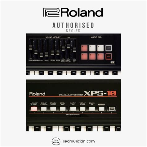 Roland Xps 10 Expandable Keyboard Synthesizer I Seamusician