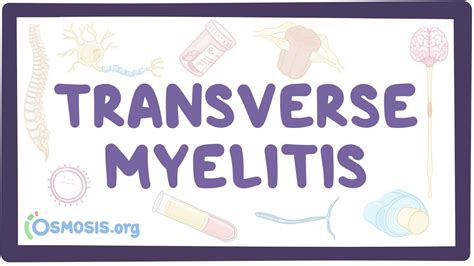 It is an inflammatory disorder of the spinal cord. Transverse myelitis - an Osmosis Preview - YouTube