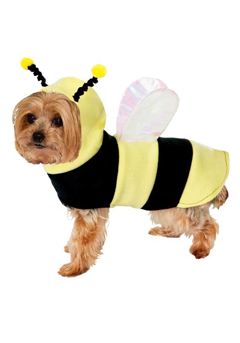 Diy Dog Bee Costume Ubicaciondepersonascdmxgobmx