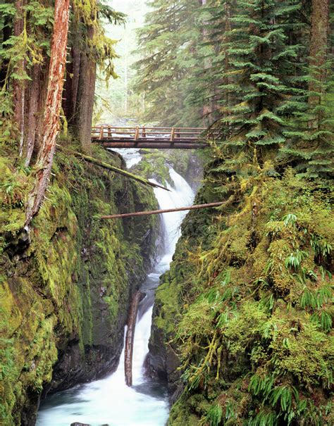 Wa Olympic National Park Sol Duc Falls With Bridge Over Sol Duc River