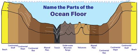 The Ocean Floor Worksheet Answer Key Review Home Decor