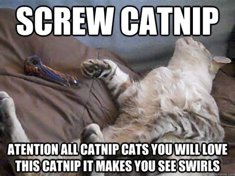 Screw Catnip Atention All Catnip Cats You Will Love This Catnip It