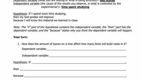 Writing A Hypothesis Worksheet