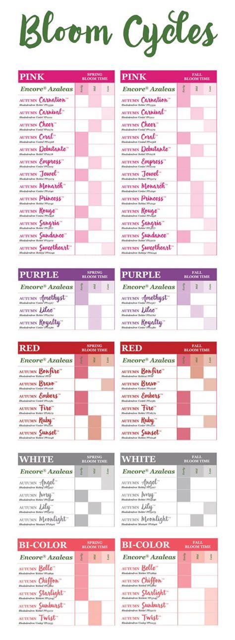 Encore Azalea Color Chart