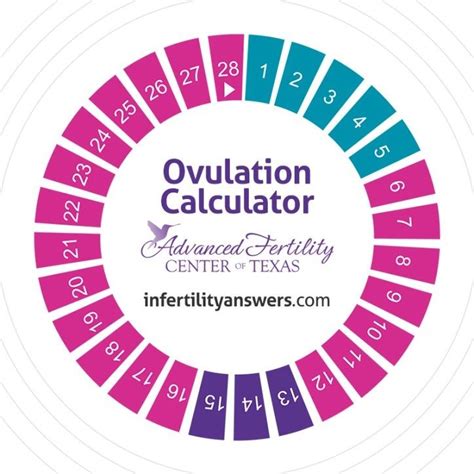 Pregnancy Calculator Based On Ovulation Dougraymikah