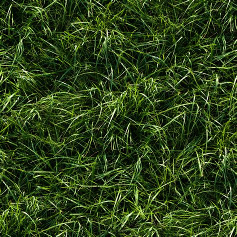 High Resolution Textures Seamless Long Green Grass Ground Texture