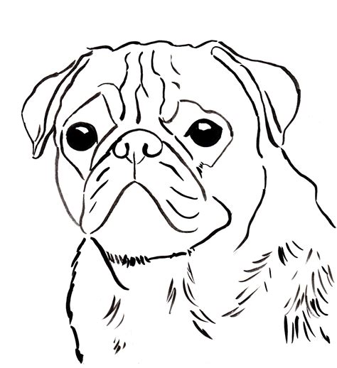 Sad Puppy Face Drawing At Getdrawings Free Download