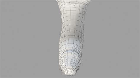 Realistic Male Penis Anatomy 3d Model Turbosquid 1446665