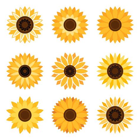 Sunflower Emblem Set By Vectortatu