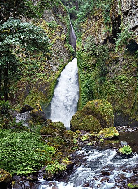 Wahclella Falls Oregon Columbia Gorge Tanner Creek Photo