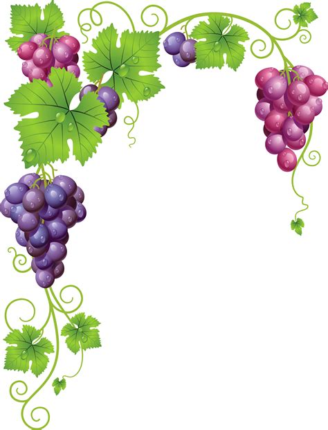 Grape Vine Clipart Png Grape Vine Frame Transparent Png