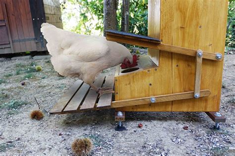 L'abreuvoir automatique proposé peut se régler de façon à ce qu'il y ait plus ou moins d'arrivée d'eau. Mangeoire automatique pour poules | Mangeoire poule ...