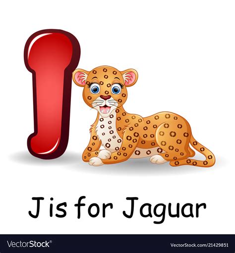 Animals Alphabet J Is For Jaguar Royalty Free Vector Image