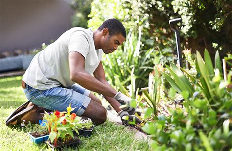 4 Tips For Gardening On A Budget Dupage Credit Union