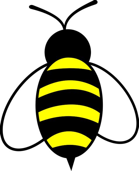 Download Honey Bee Bug Royalty Free Vector Graphic Pixabay
