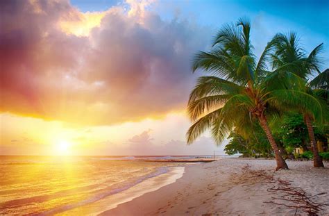 Top 10 Beaches In Barbados Open To The Public