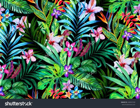 Tropical Wallpapers Earth Hq Tropical Pictures 4k Wallpapers 2019