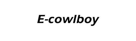 E Cowlboy Trunk Wing Spoiler Universal For Ford Mustang