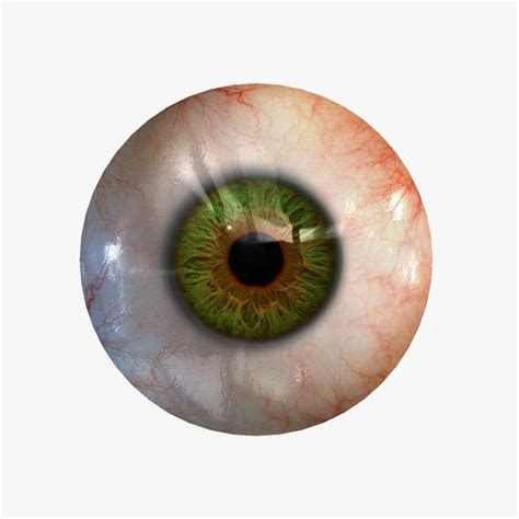 3dsmax Realistic Human Eye 20 Eyeball Art Human Eyeball Black And