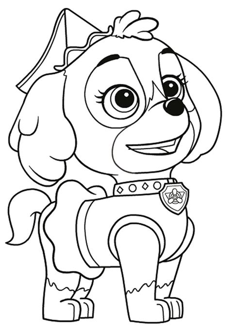 Desenhos De Patrulha Canina Para Imprimir E Colorir Como Fazer Em