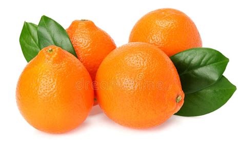 Orange Clementine Or Minneola Tangelo With Slices And Green Leaves
