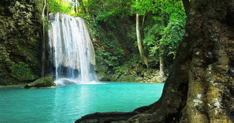 Paradise Jungle Forest With Beautiful Waterfall In Green Lush Of Erawan