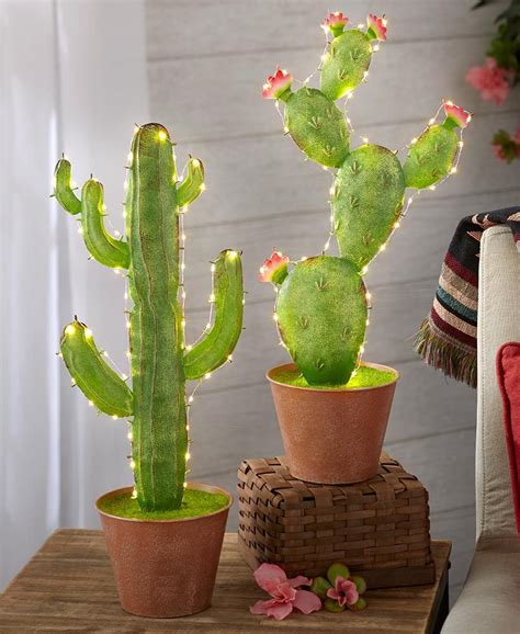 Decorative Lighted Potted Cactuses Ltd Commodities Cactus Cactus