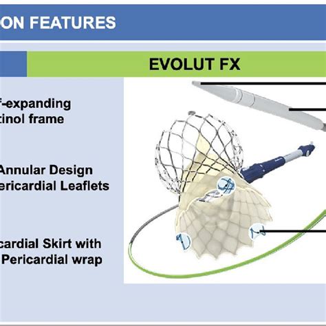 Pdf Whats New With Tavr An Update On Device Technology