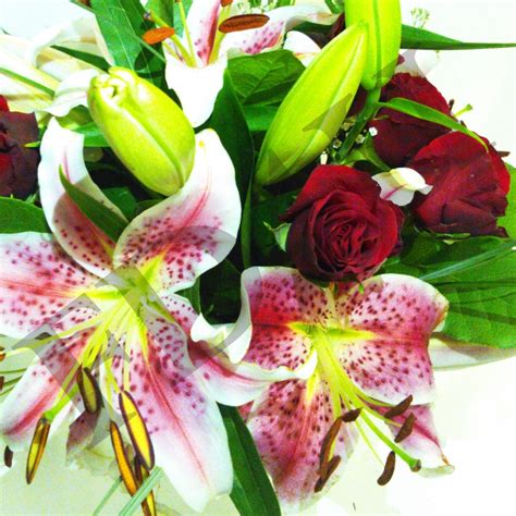 Lustic Pink Lily And Rose Bouquet Flowers Delivery 4 U Southall