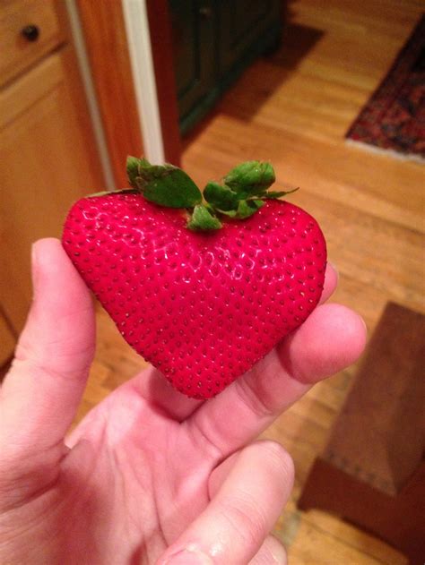 Strawberry Shaped Like A Heart Strawberry Natural Wonders Fruit