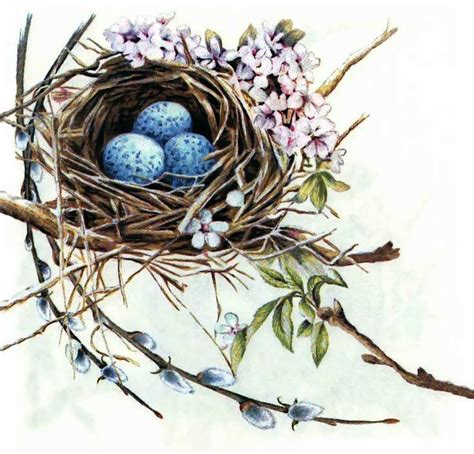 A Birds Nest With Three Eggs In It And Pink Flowers On The Branch