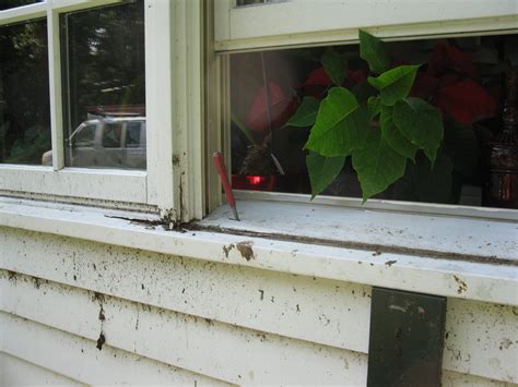 Window Sill Rot A Concord Carpenter