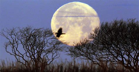 Three of the 12 full moons that will be shining in the sky in 2021 will be supermoons. they will appear to be larger and brighter than an ordinary full moon. A massive Snow Moon will be biggest supermoon of 2019 ...